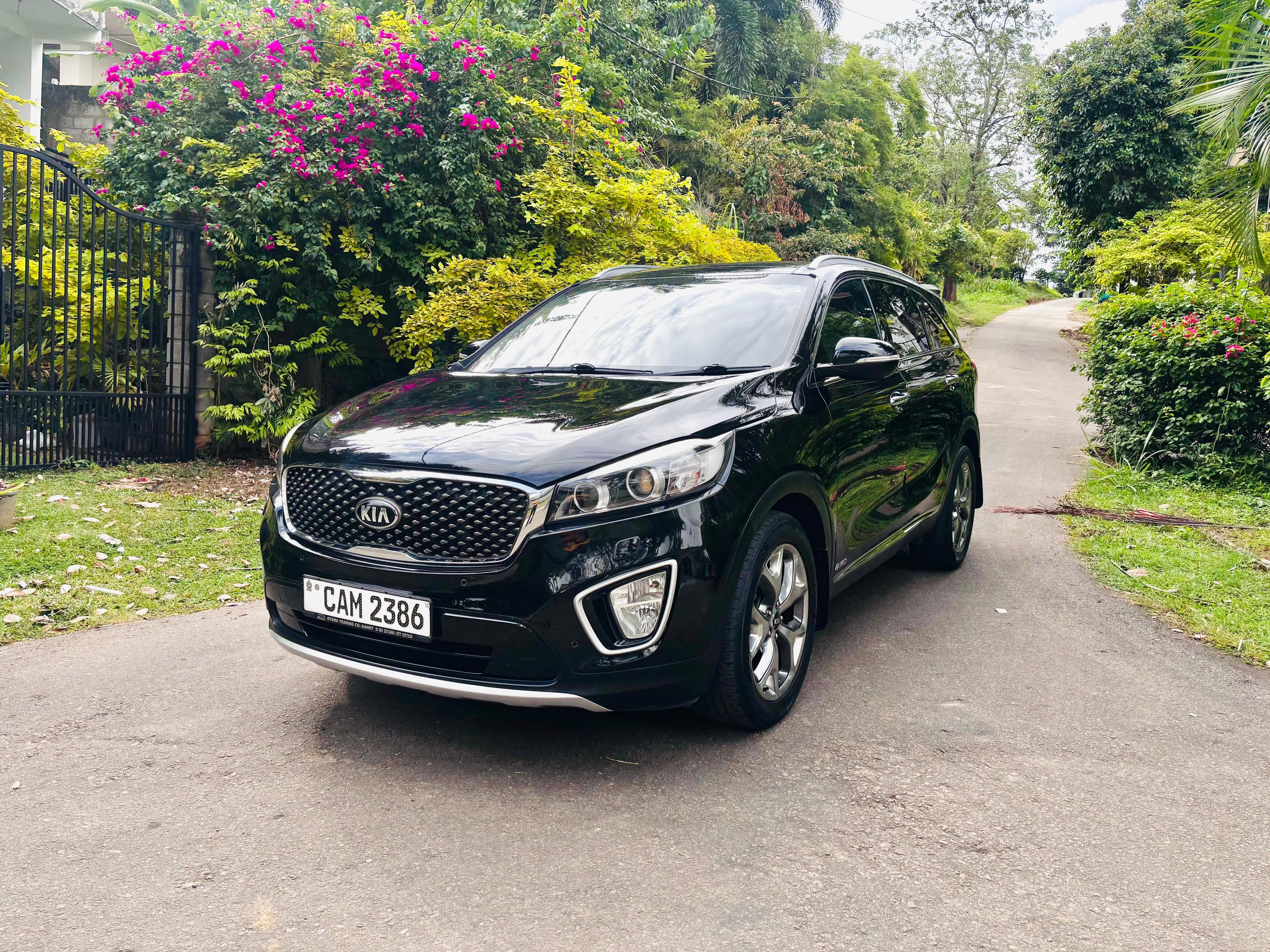 2015 Other Kia Sorento